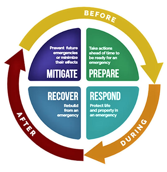 Infographic of Emergency Management Process and information written on this page